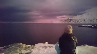 Sitting on the edge of Adventfjorden